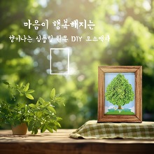 DIY 이지플립 뚝딱 조립식 참죽나무 원목 다용도 액자_모스트리액자